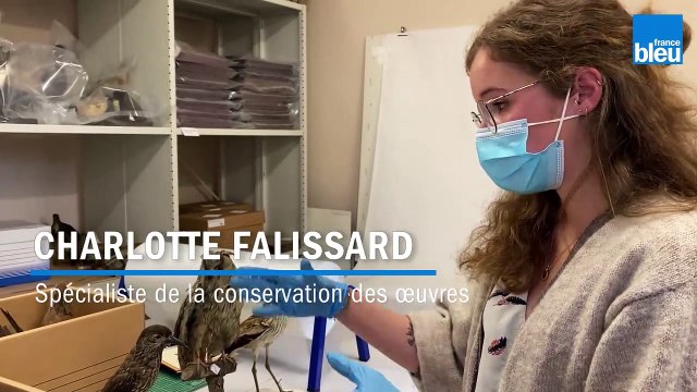 Collection Maranne en récolement au musée d'art et d'archéologie du Périgord