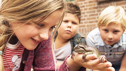 Hilfe, unser Lehrer ist ein Frosch - Trailer (Deutsch) HD