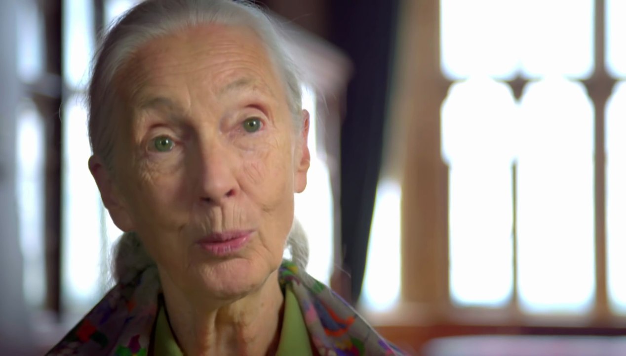 Code of Survival Zwischen Ohnmacht und Liebe - Trailer (Deutsch) HD