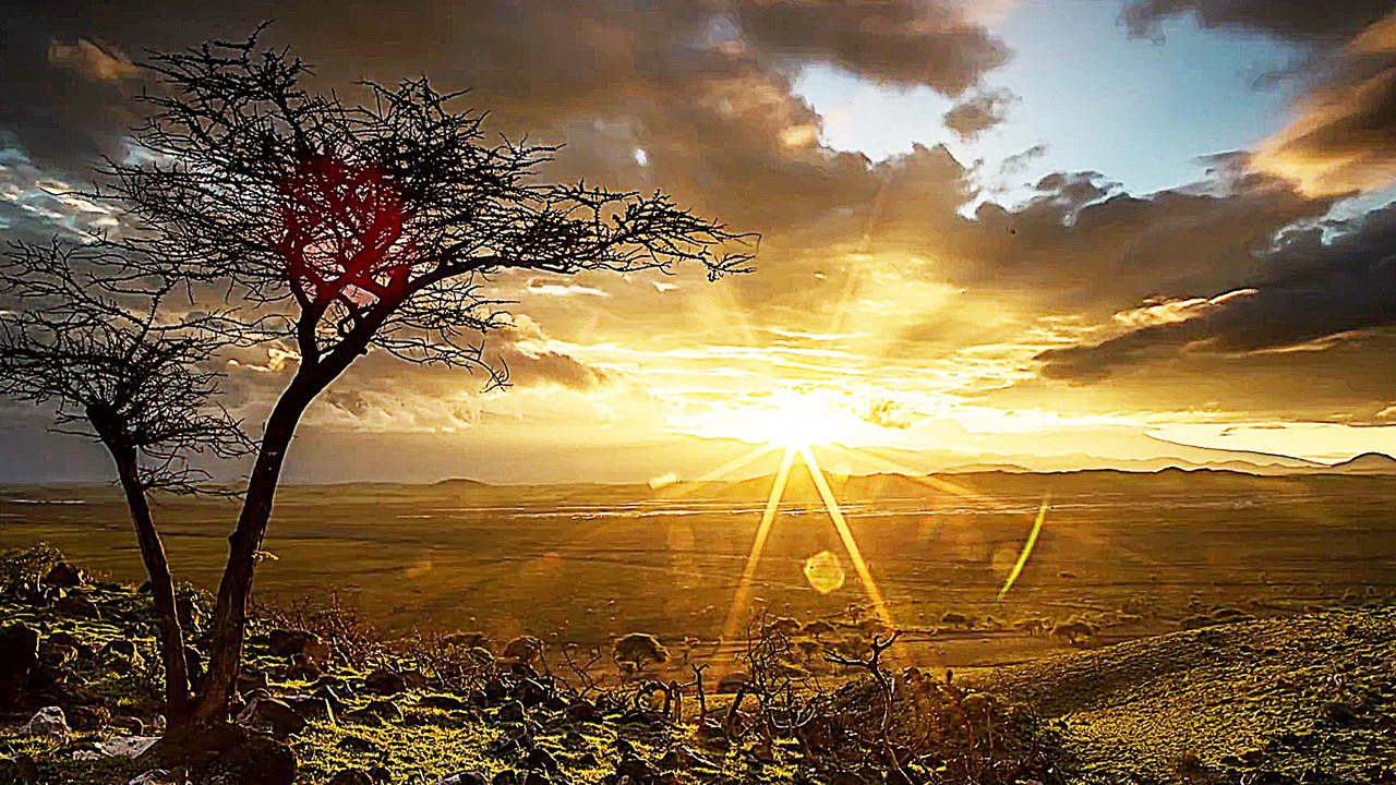 KrÃ¤fte der Natur - Trailer (Deutsch) HD