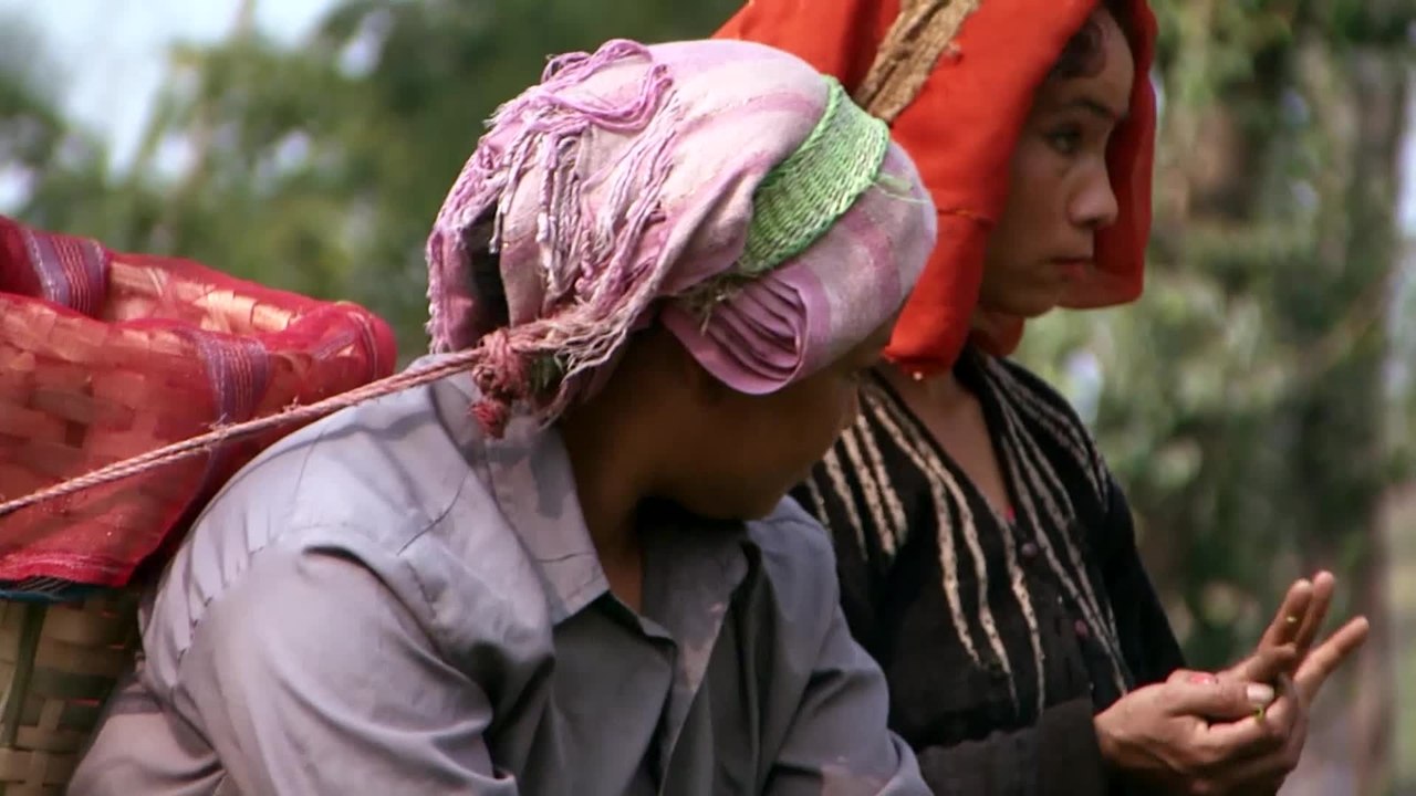 Code of Survival - Clip 06 (Deutsch) HD