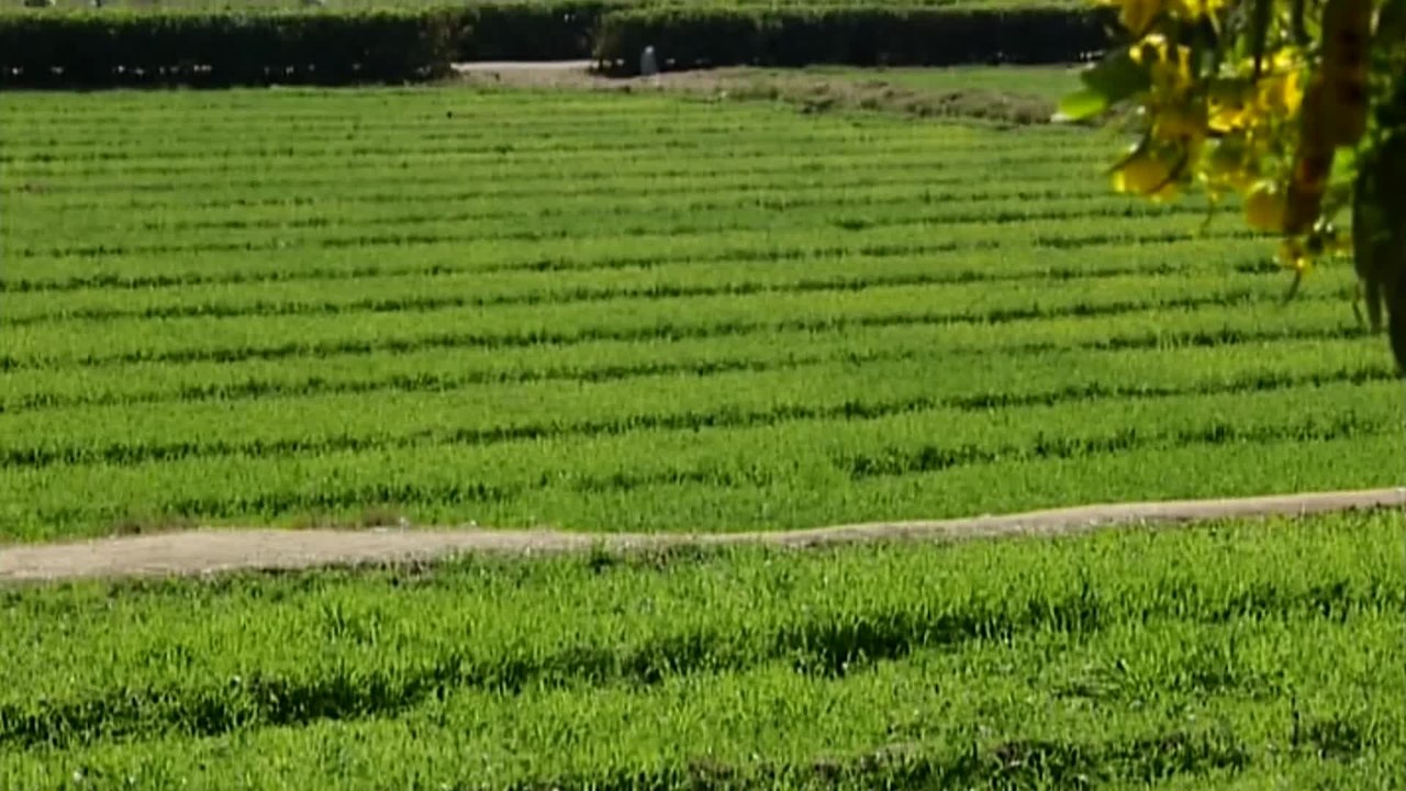 Code of Survival - Clip 03 (Deutsch) HD