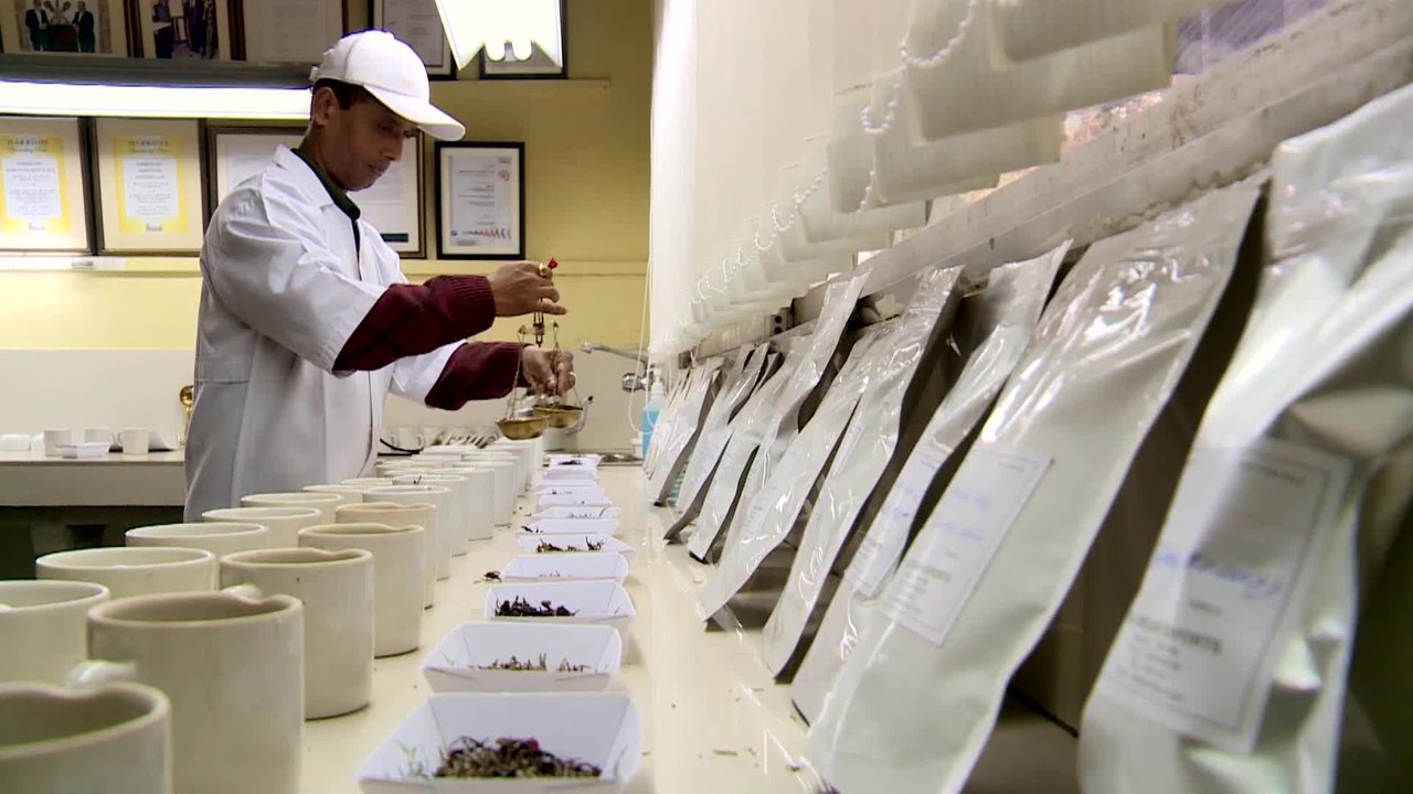 Code of Survival - Clip 05 (Deutsch) HD