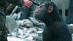 Planet der Affen Survival  - Trailer 3 (Deutsch) HD