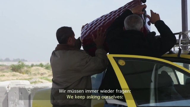 Blumen zwischen Trümmern