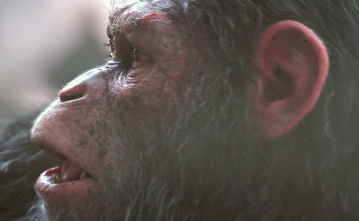 Planet der Affen Survival - Trailer 4 (Deutsch) HD