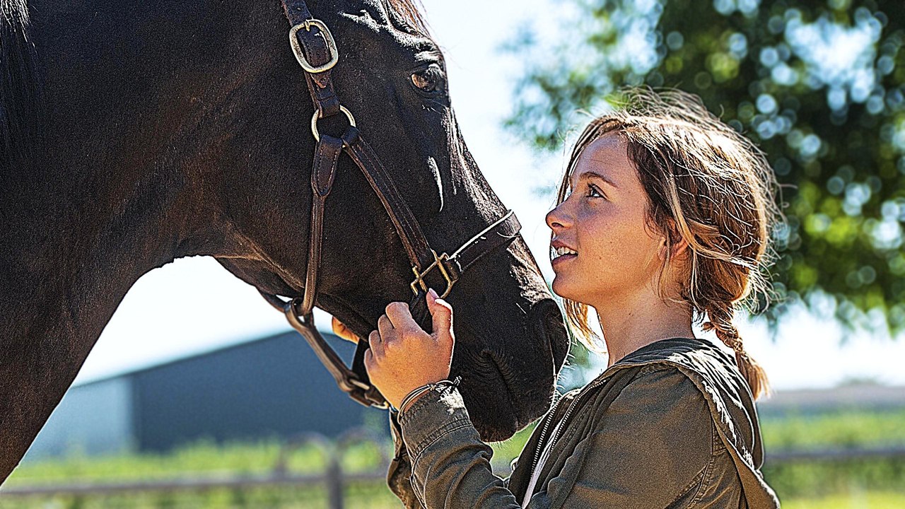 Rock my Heart - Trailer (Deutsch) HD