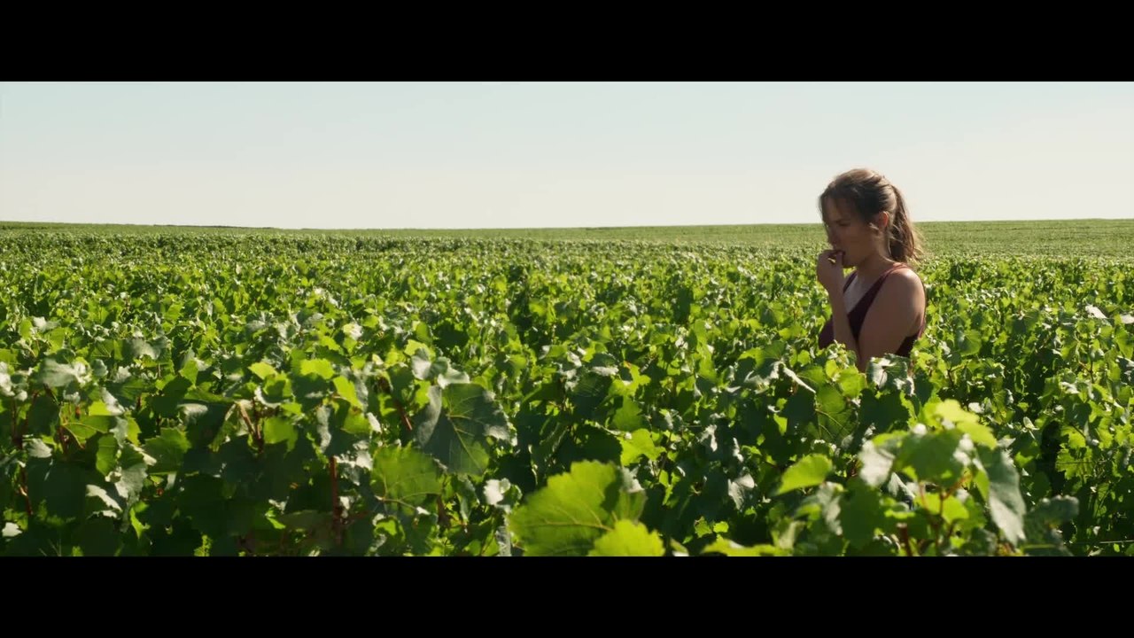 Der Wein und der Wind - Clip In den Weinbergen (Deutsch) HD