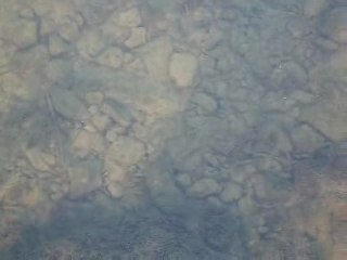 Les eaux claires de la Loue avec les poissons