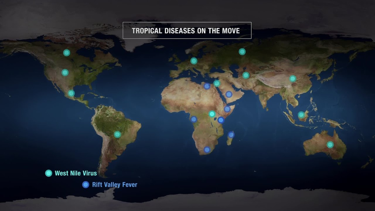 Immer noch eine unbequeme Wahrheit - Clip Zika Virus (Deutsch) HD
