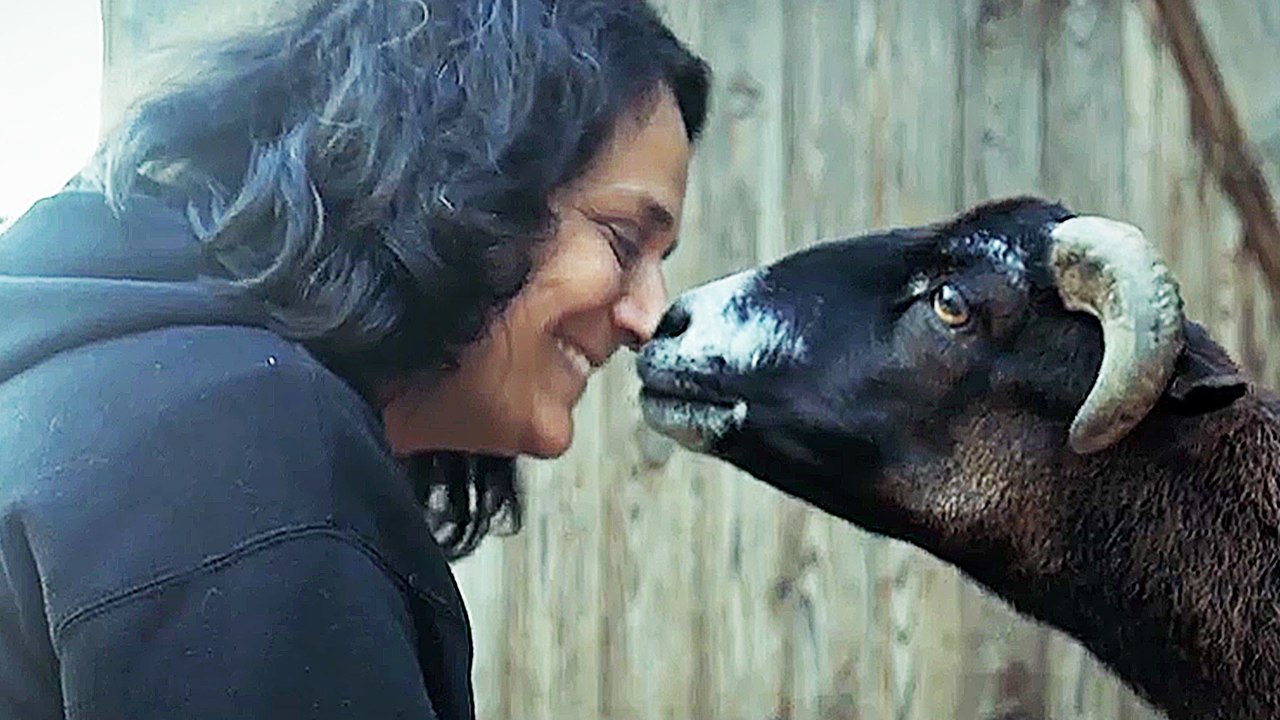 The End of Meat - Trailer (Deutsch) HD