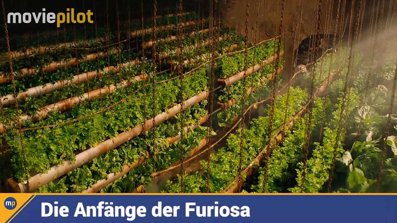 Mad Max: Furiosa - 5 Szenarien, die wir uns das Spin-Off wÃ¼nschen