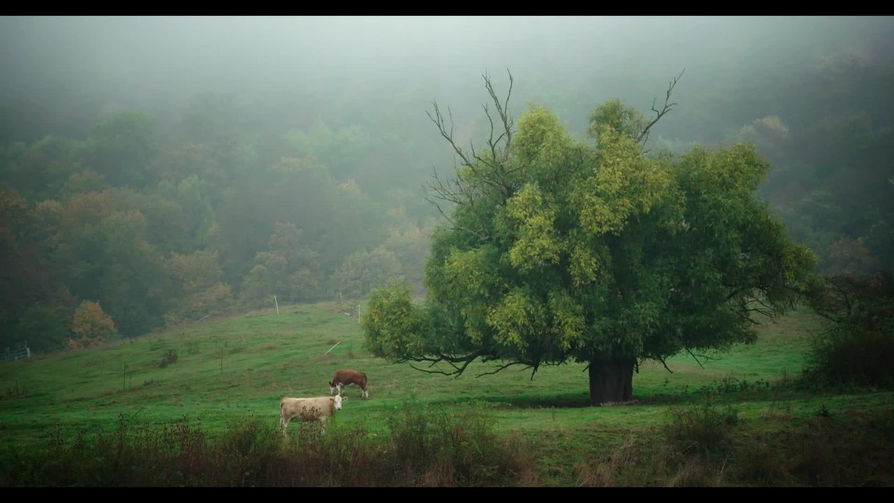 Das System Milch - Clip 04 (Deutsch) HD