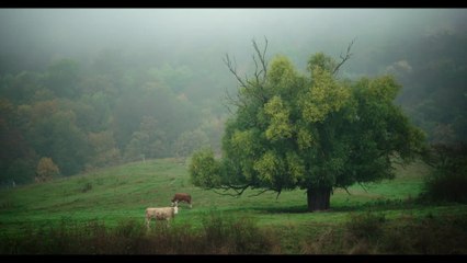 Das System Milch - Clip 04 (Deutsch) HD