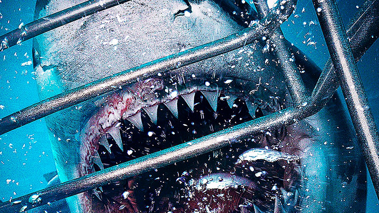 Open Water Cage Dive - Trailer (Deutsch)