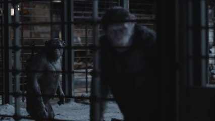 War for the Planet of the Apes - Clip Deleted Scene I Am Like Koba (English) HD