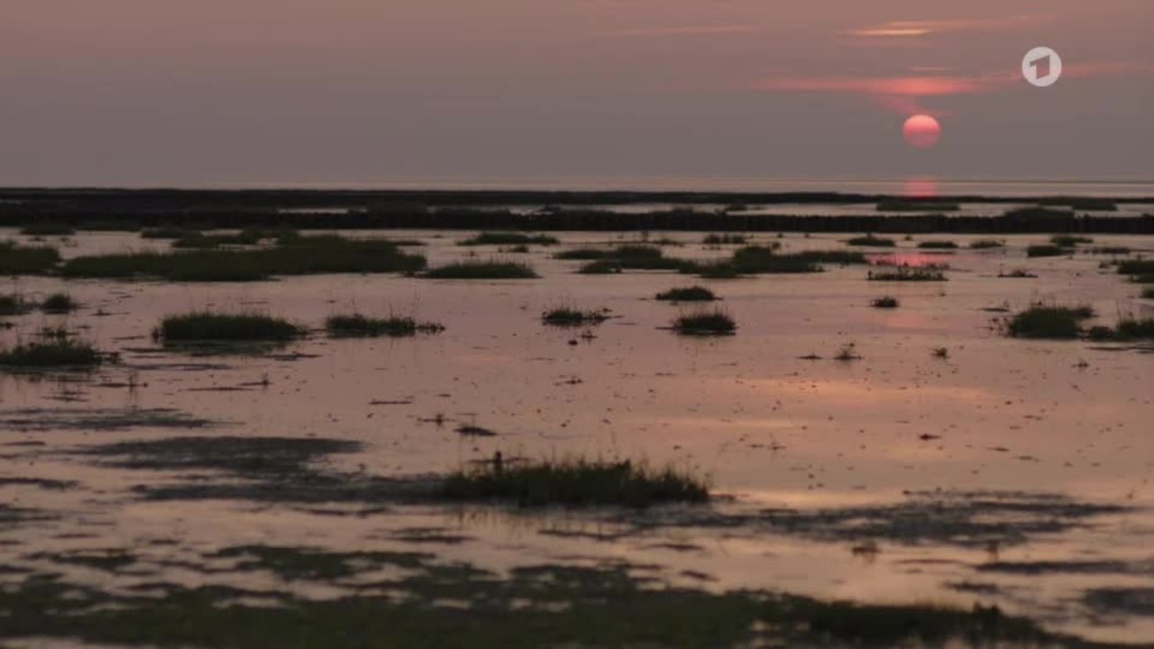 Vater, Kutter, Sohn - Musikclip (Deutsch)