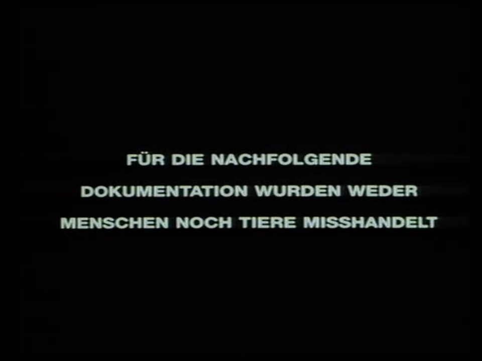 VerrÃ¼ckt nach Mary - Trailer (Deutsch)