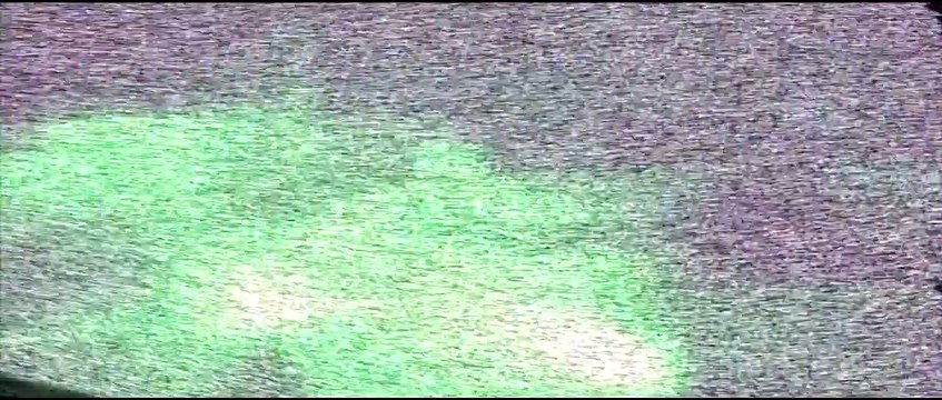 Wind Walkers - Jagd in den Everglades