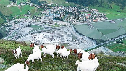 Andermatt - Global Village - Trailer (Deutsche UT) HD