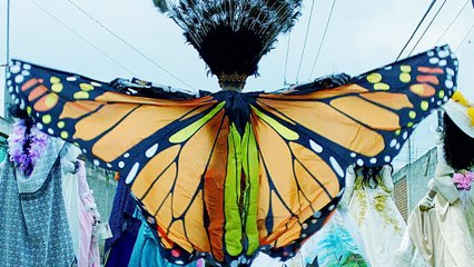 One Strange Rock - Trailer (English) HD