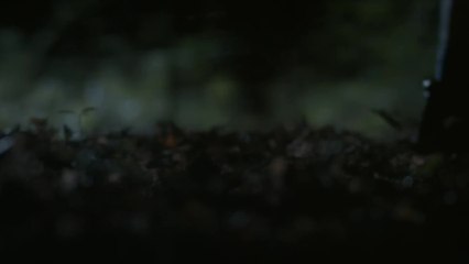 Desolation - Clip (English) HD