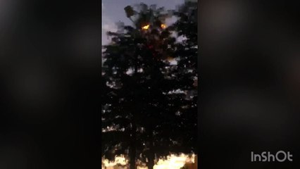No fue un incendio, ni un gato, sino un dron lo que movilizó a Bomberos de Culiacán