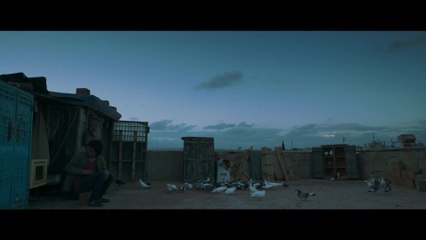 The Pigeon - Clip (English Subs) HD