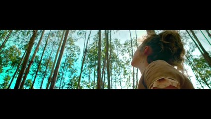 UnicÃ³rnio - Clip (OV) HD