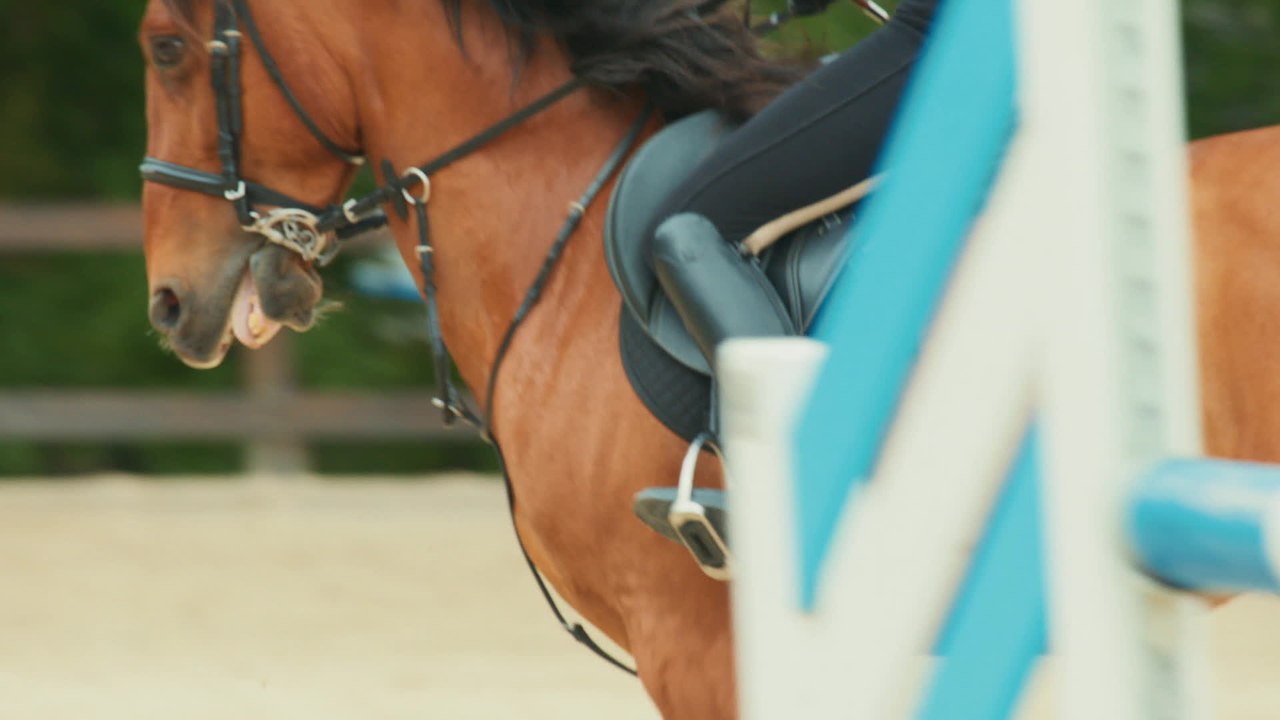 Wendy 2 - Clip 05 Wollt ihr sehen wie man richtig reitet (Deutsch) HD