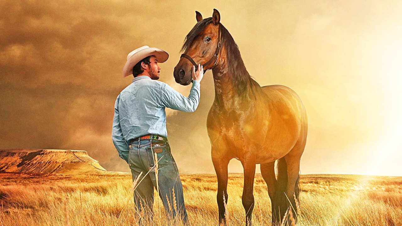 The Rider - Trailer (Deutsch) HD