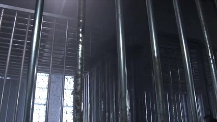 Wrath of Crows - Trailer (English) HD