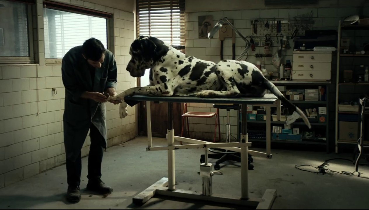 Dogman - Trailer (Deutsch) HD