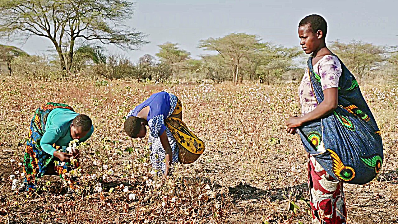 Fair Traders - Trailer (Deutsch) HD