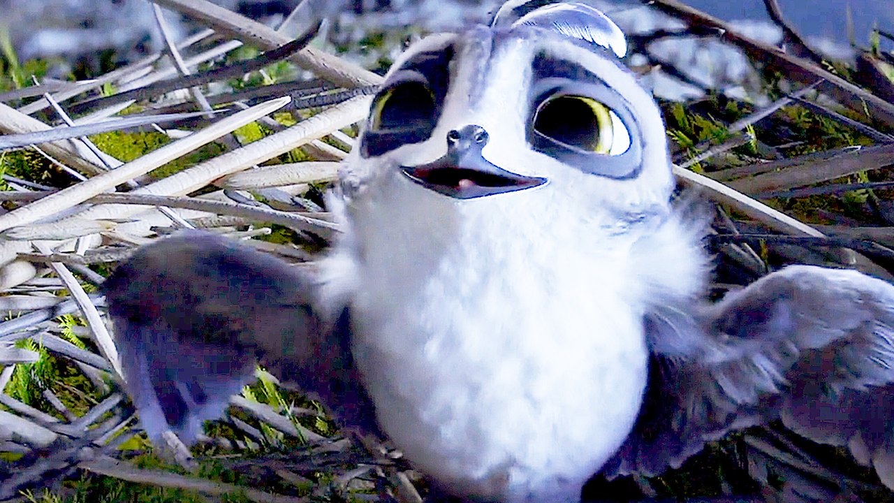 Manou flieg flink - Trailer (Deutsch) HD