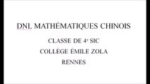 2020-11 cours de DNL Mathématiques-Chinois