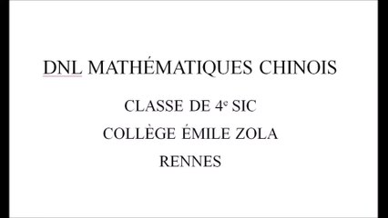 2020-11 cours de DNL Mathématiques-Chinois