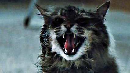 Friedhof der Kuscheltiere - Trailer 2 (Deutsch) HD