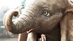Dumbo - Sneak Peek Trailer (English) HD