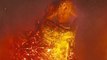 Godzilla King Of The Monsters - Spot Burning Godzilla (English) HD