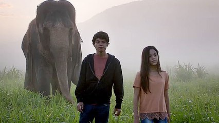 Saving Flora - Trailer (English) HD