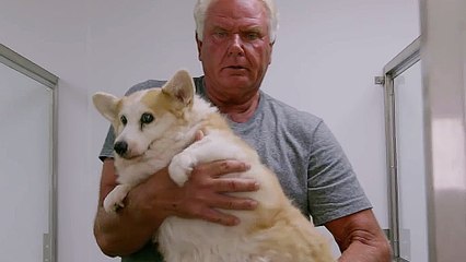 Life in the Doghouse - Trailer (English) HD