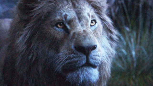 Der KÃ¶nig der LÃ¶wen - TV Spot True King (Deutsch) HD