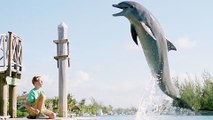 Echo, der Delphin - Eine Freundschaft fÃ¼rs Leben - Trailer (Deutsch) HD