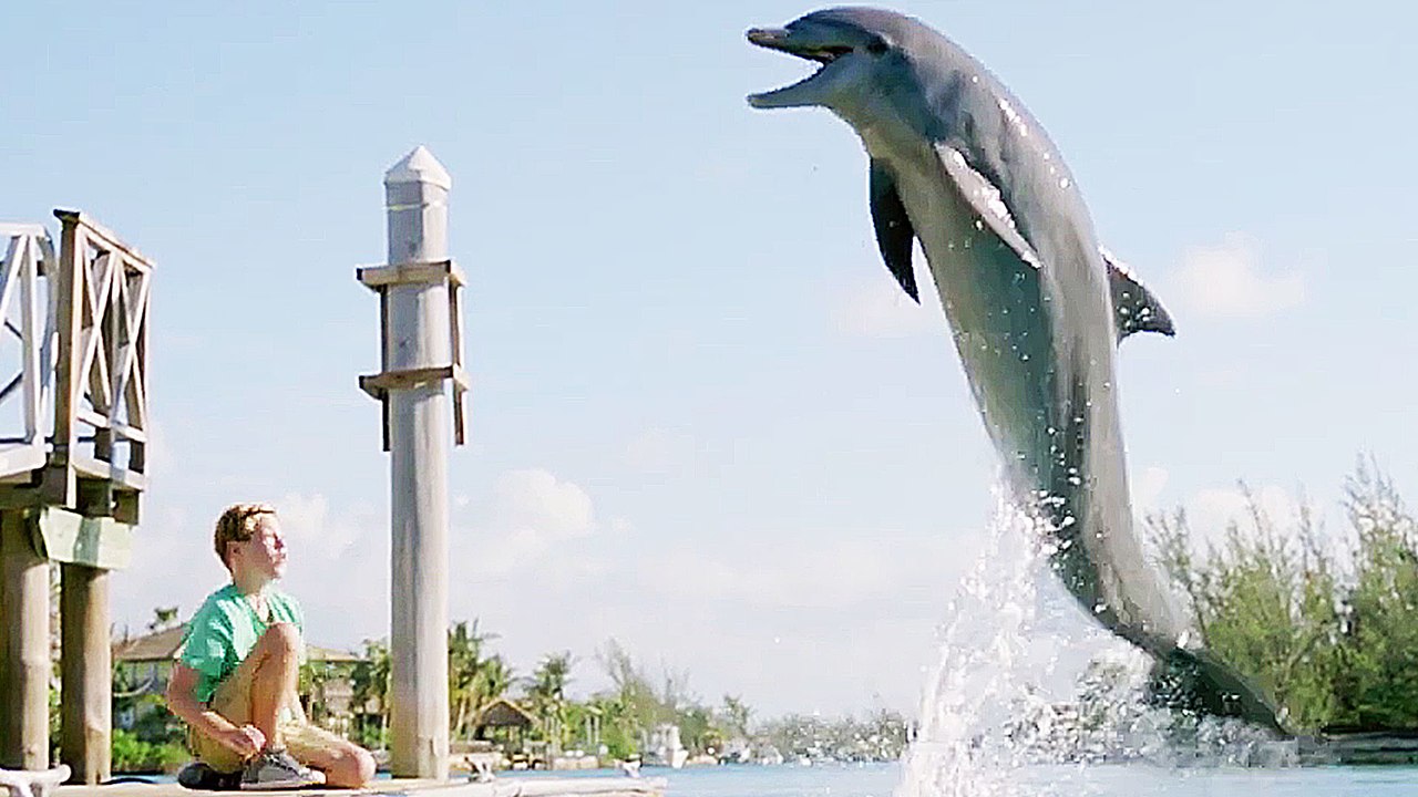 Echo, der Delphin - Eine Freundschaft fÃ¼rs Leben - Trailer (Deutsch) HD