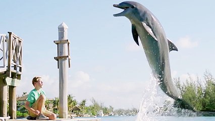 Echo, der Delphin - Eine Freundschaft fÃ¼rs Leben - Trailer (Deutsch) HD