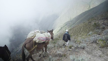 Thinking Like A Mountain - Trailer (Deutsche UT) HD