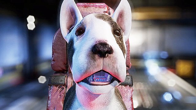 Dog Patrol - Das gefallene Königreich der Knochen