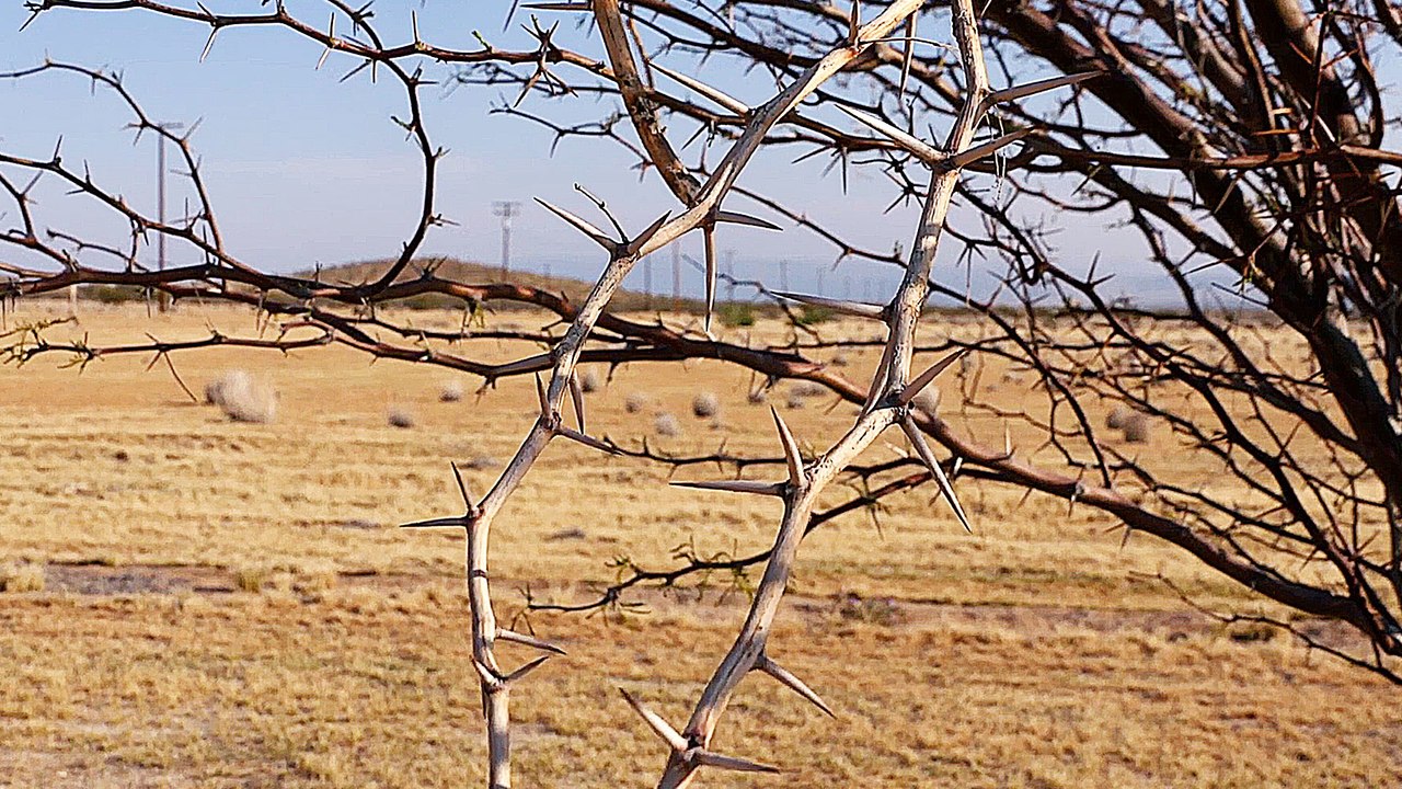 Barstow, California - Trailer (Deutsch) HD