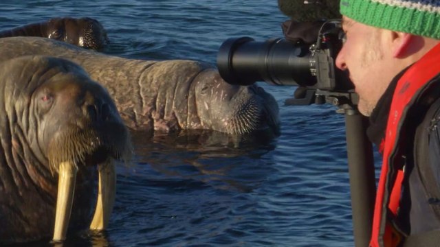 Spitzbergen auf Expedition in der Arktis - Trailer (Deutsch) HD